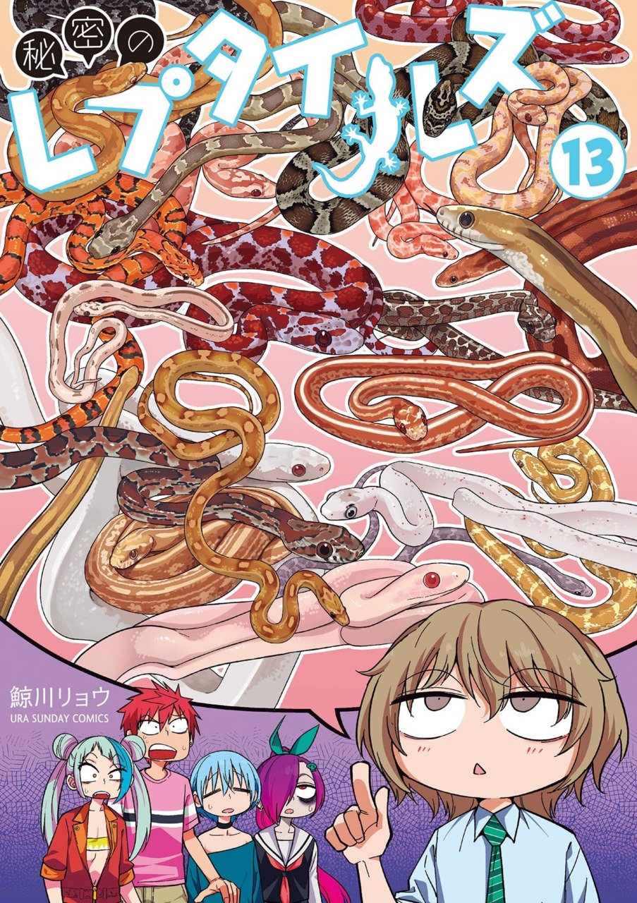 Himitsu no Reptiles Manga Cover Volume 13