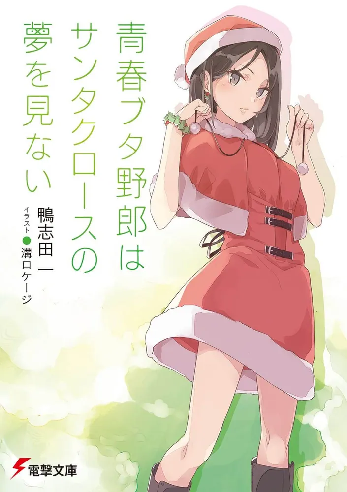 Seishun Buta Yarou Novel Cover 13