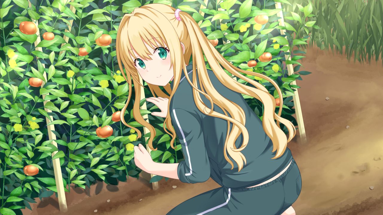 Kono Aozora ni Yakusoku o Refine Game Screenshot 3