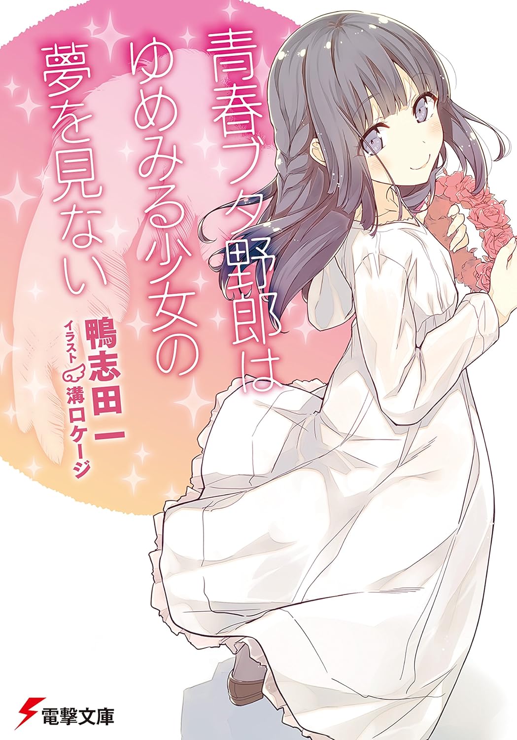 Seishun Buta Yarou wa Yume-Miru Shoujo no Yume o Minai Novel Cover 6