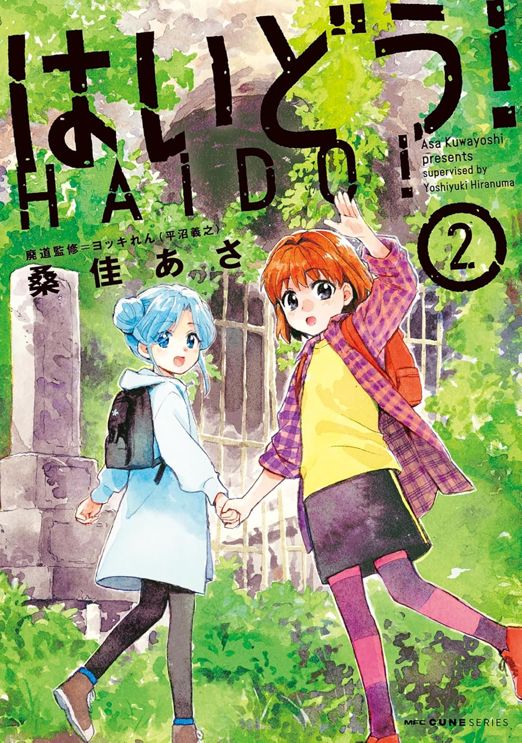 HAIDO! Manga Cover 2