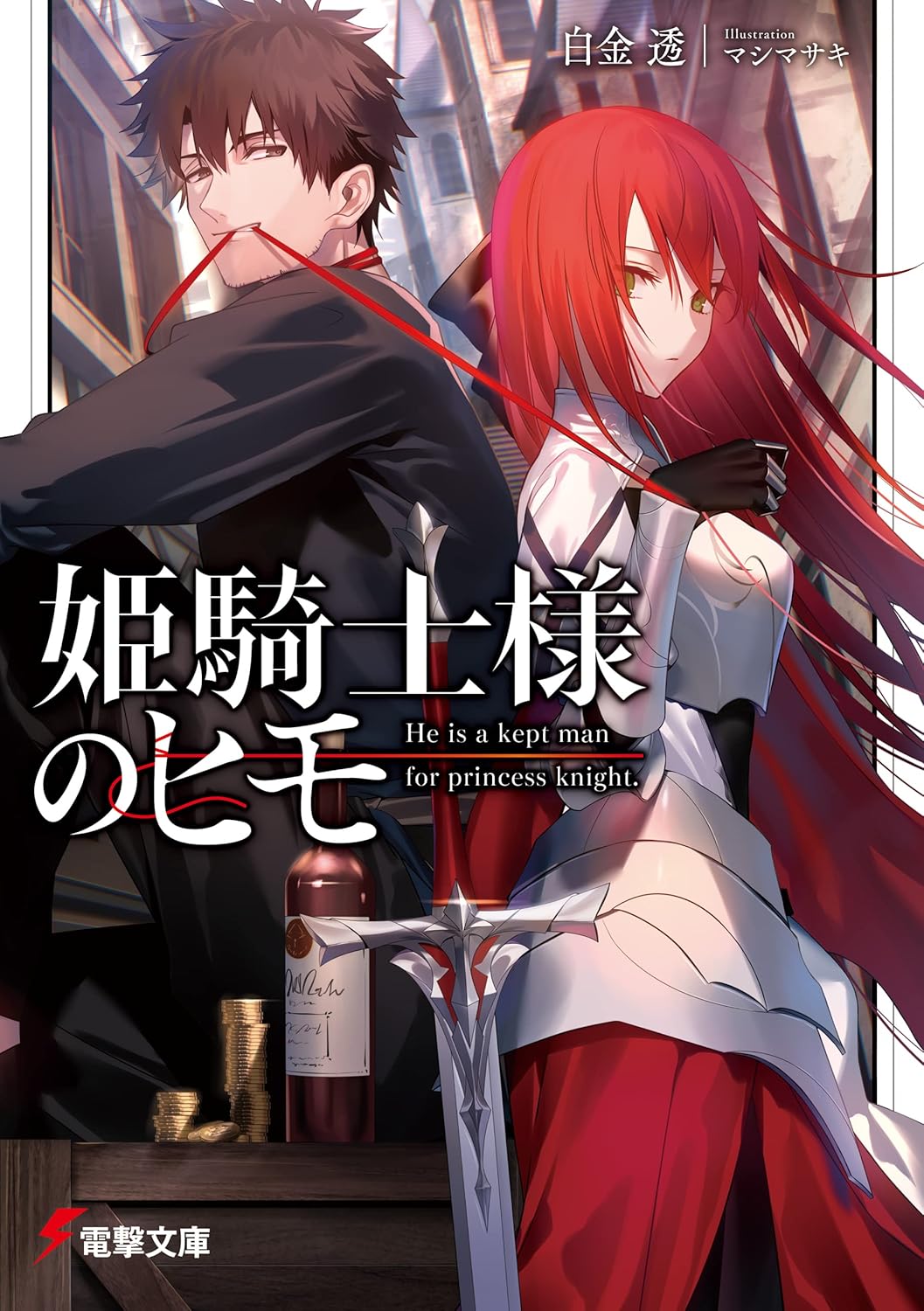 Himekishi-sama no Himo Novel Cover 1