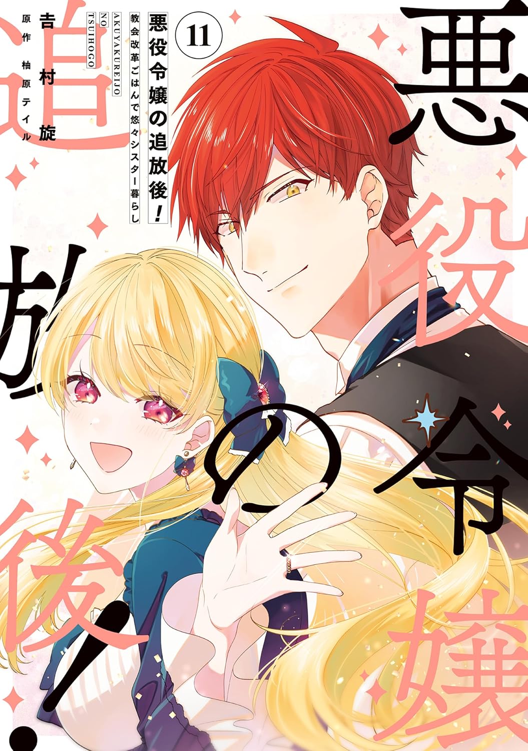 Akuyaku Reijou no Tsuihougo! Manga cover 11