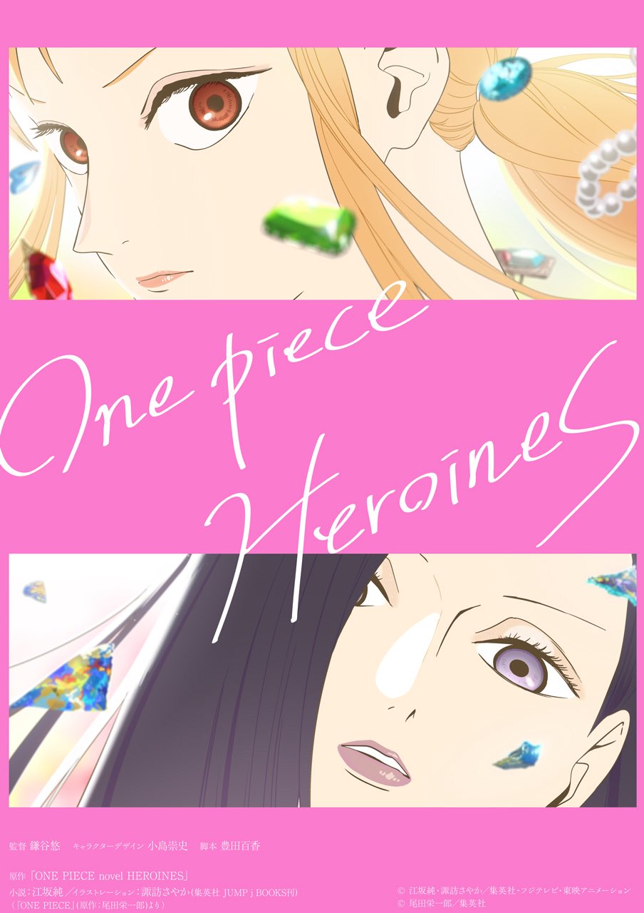 One Piece novel HEROINES  Anime Visual