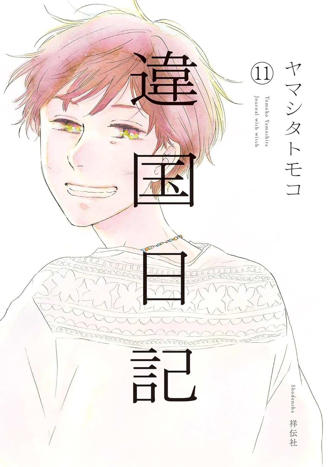 Ikoku Nikki Manga Cover 11