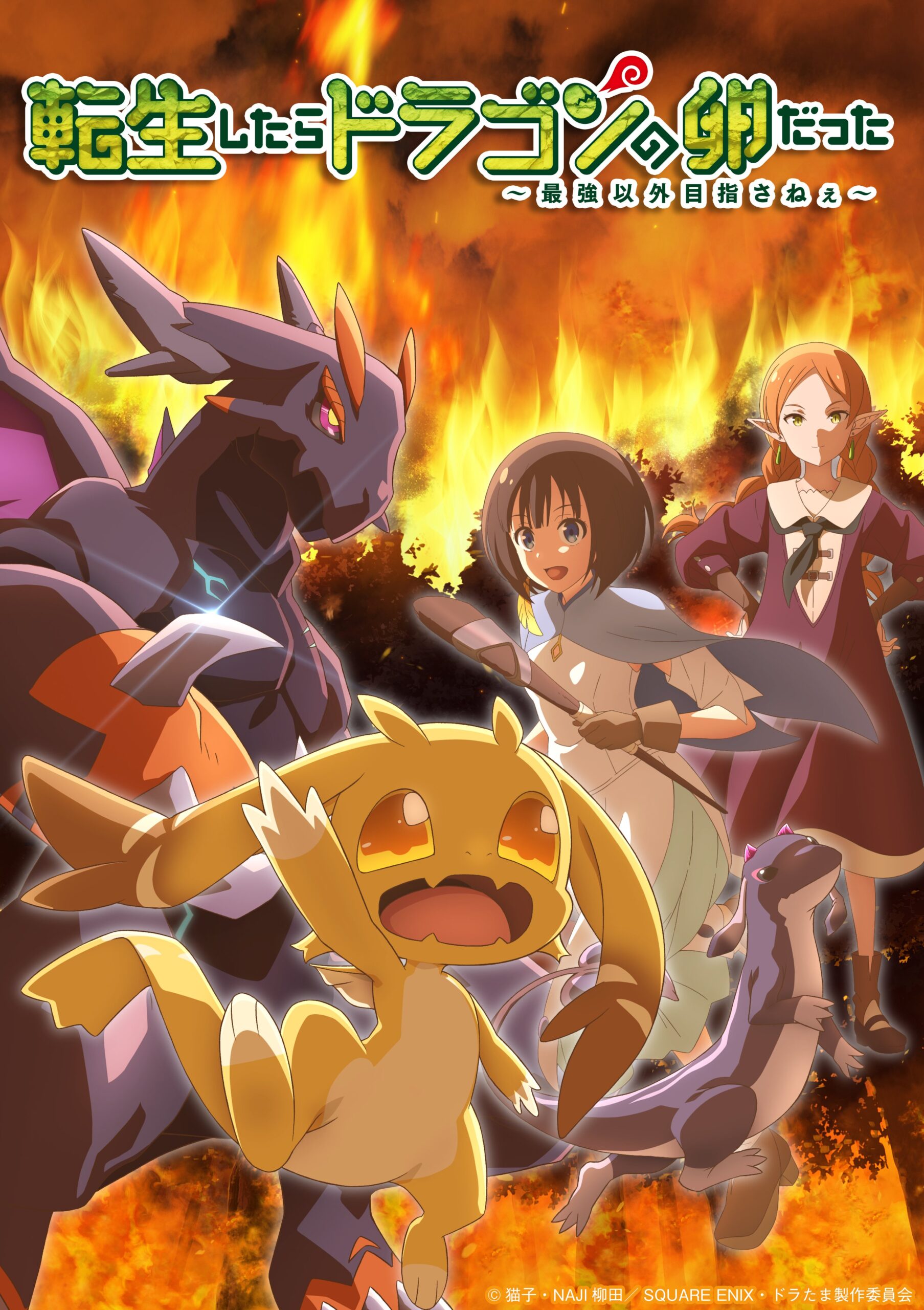 Tensei Shitara Dragon no Tamago Datta Anime Visual