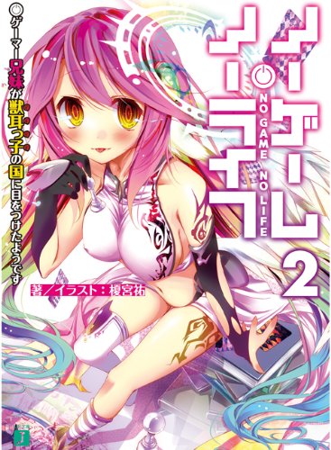 No Game No Life Novel Cover 2