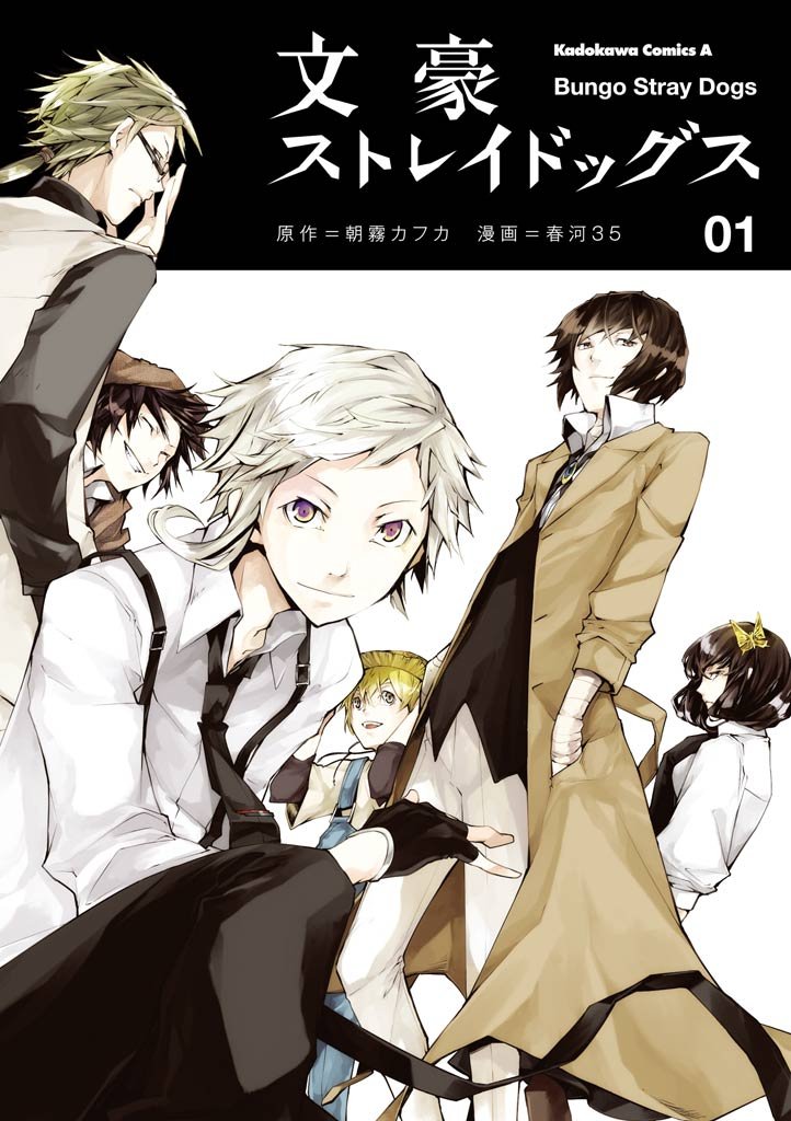 Bungo Stray Dogs Manga Cover 1