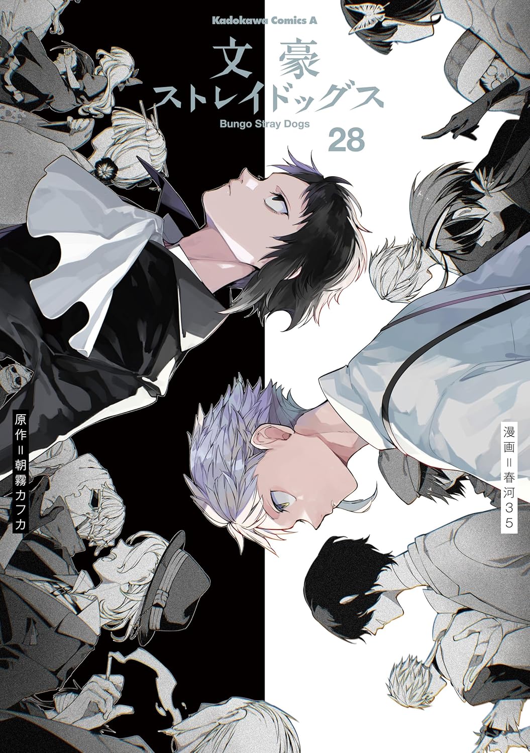Bungo Stray Dogs Manga Cover 28