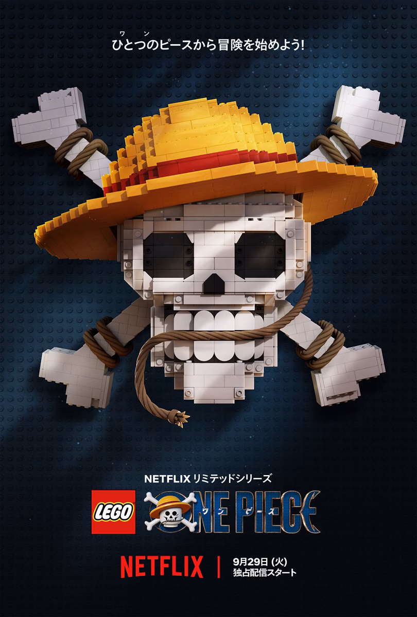 LEGO ONE PIECE Visual