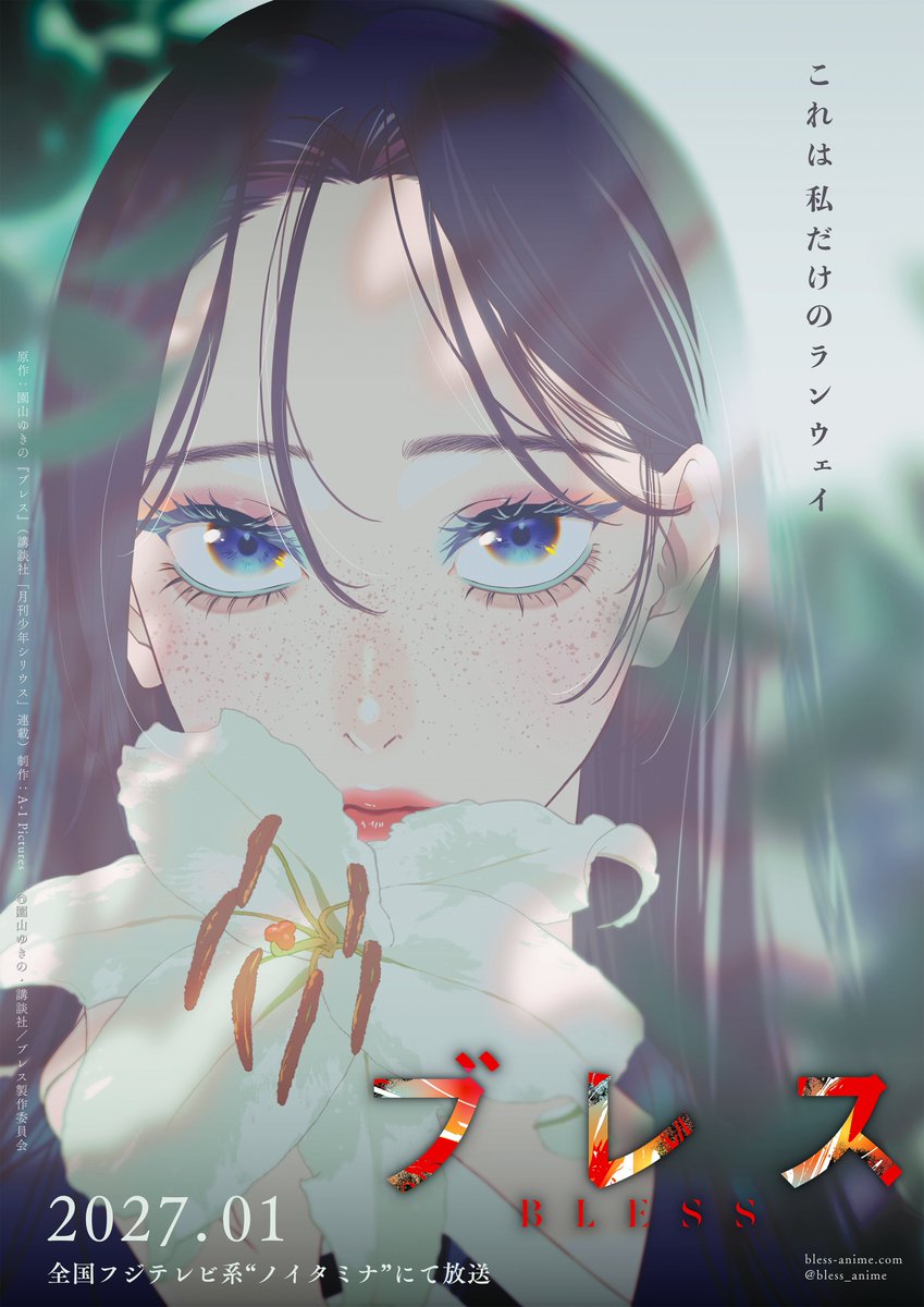 Bless Anime visual