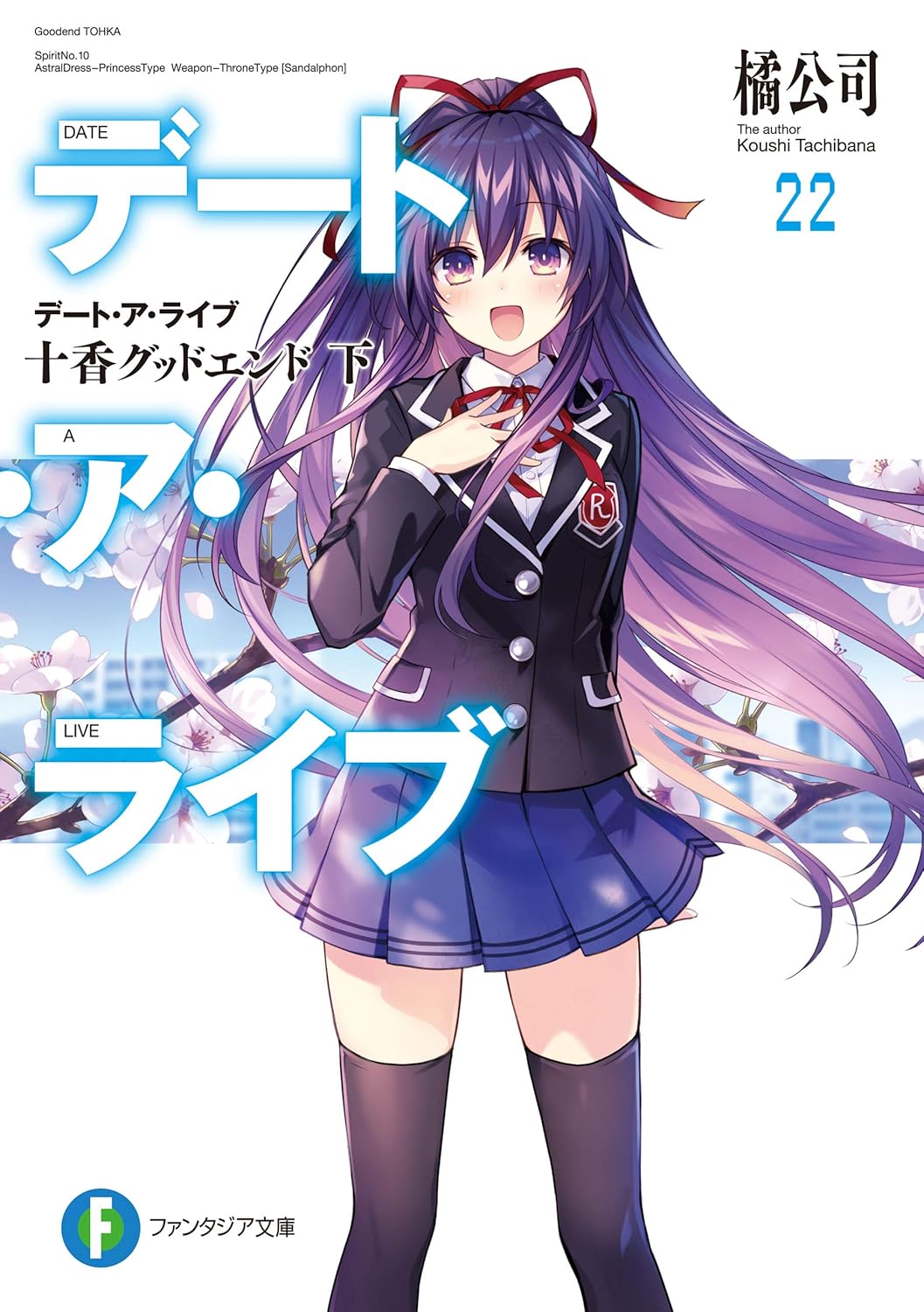 Date A Live Novel Cover 22